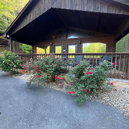 Beary Tale! Your Happily Ever After Starts Here! Sevierville Ngoại thất bức ảnh
